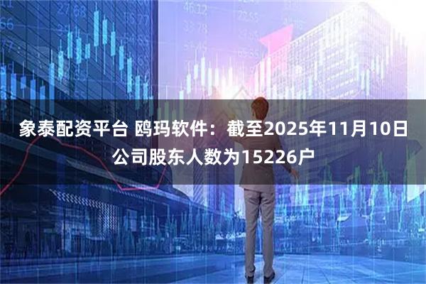 象泰配资平台 鸥玛软件：截至2025年11月10日公司股东人数为15226户