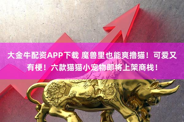 大金牛配资APP下载 魔兽里也能爽撸猫！可爱又有梗！六款猫猫小宠物即将上架商栈！